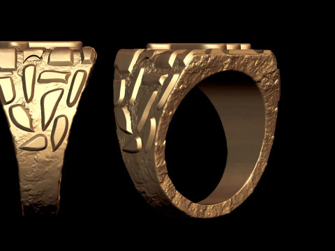 Gemini Horoscope Zodiac Nugget Ring 3D Print Model