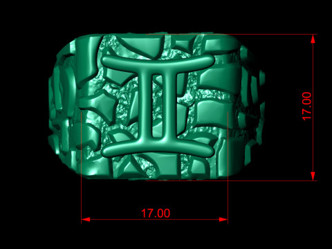 Gemini Horoscope Zodiac Nugget Ring 3D-printmodel