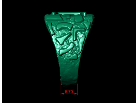 Gemini Horoscope Zodiac Nugget Ring 3D-printmodel
