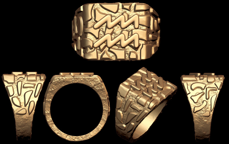 Aquarius Horoscope Zodiac Nugget Ring 3D Print Model .c4d .max .obj .3ds .fbx .stl .blend