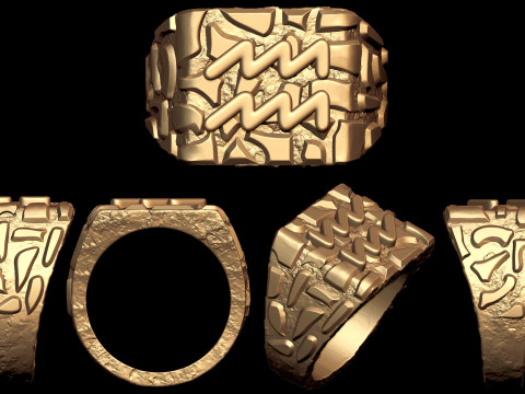 Aquarius Horoscope Zodiac Nugget Ring 3Dプリントモデル