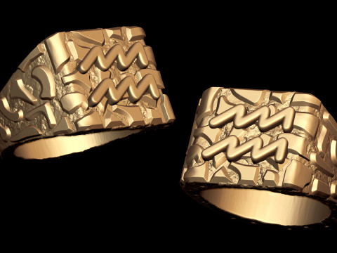 Aquarius Horoscope Zodiac Nugget Ring 3D Print Model