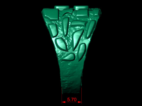Aquarius Horoscope Zodiac Nugget Ring 3D Print Model