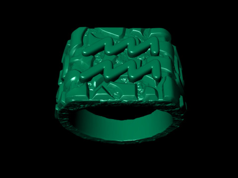Aquarius Horoscope Zodiac Nugget Ring 3D Print Model