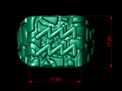 Aquarius Horoscope Zodiac Nugget Ring 3D Print Model
