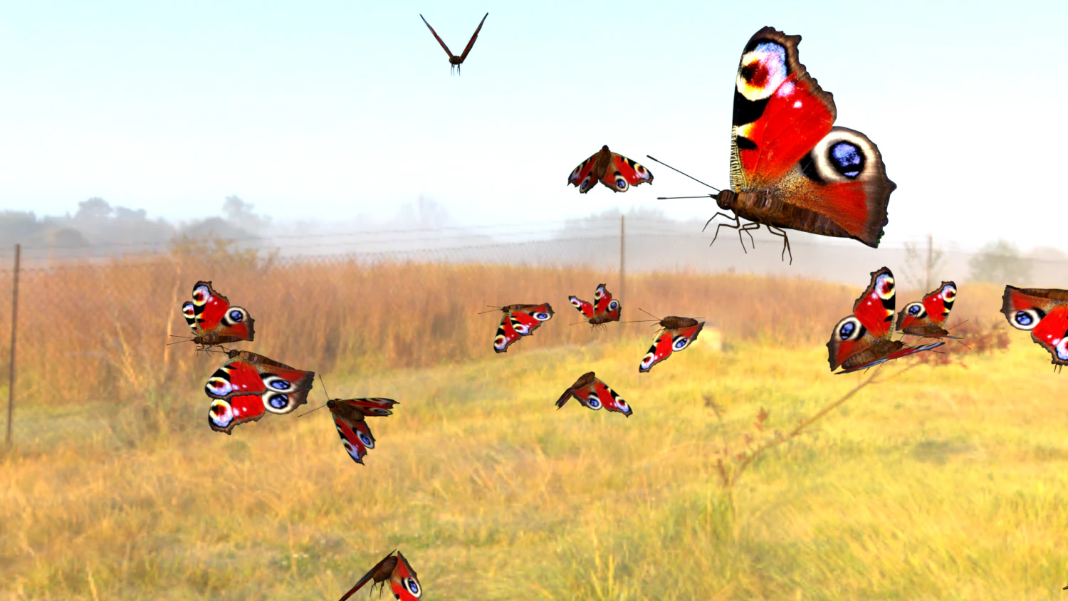 butterflies animation 3D Model .c4d .max .obj .3ds .fbx .stl .blend 