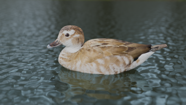 hunting duck 3D Model .c4d .max .obj .3ds .fbx .stl .blend 