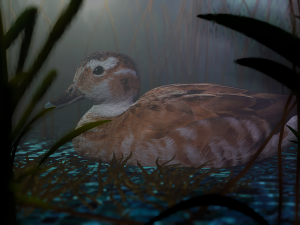 hunting duck 3D Model
