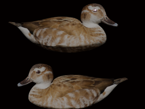 hunting duck 3D Model