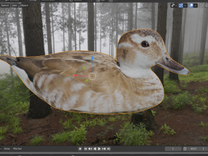 hunting duck 3D Model