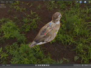 hunting duck 3D Model