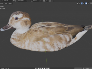 hunting duck 3D Model