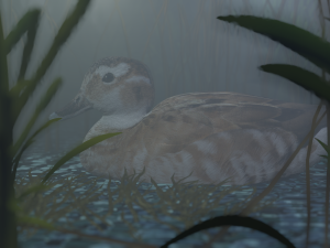 hunting duck 3D Model
