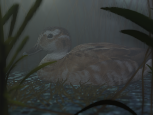 hunting duck 3D Model