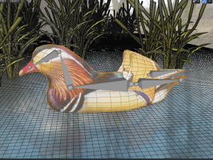 floating mandarin duck Modèle 3D