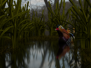 floating mandarin duck Modèle 3D