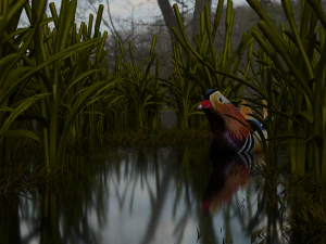 floating mandarin duck 3D Model