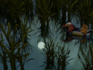 floating mandarin duck Modèle 3D