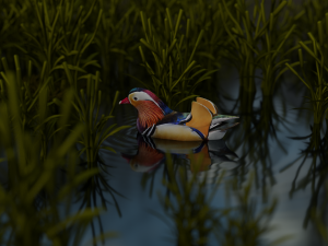 floating mandarin duck Modèle 3D