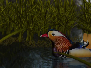 floating mandarin duck 3D Model