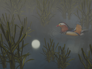floating mandarin duck Modèle 3D