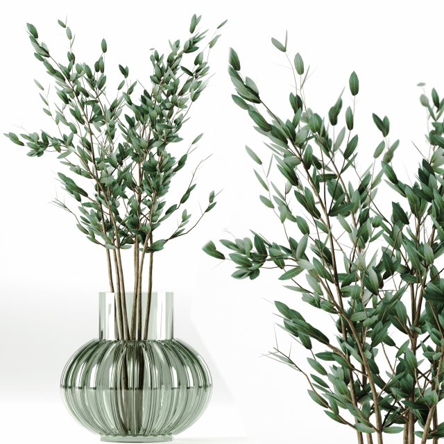 Indoor plant 3D Model .c4d .max .obj .3ds .fbx .stl .blend 
