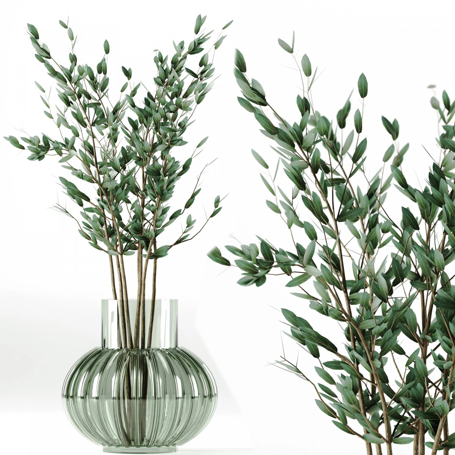 Indoor plant 3D Model .c4d .max .obj .3ds .fbx .stl .blend 