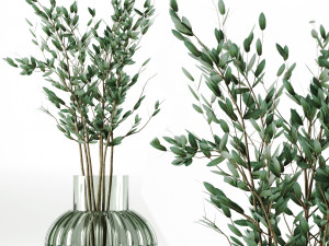 Indoor plant 3D Model