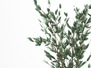 Indoor plant 3D Model