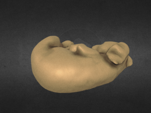slipping dachshund puppy stl file of sculpture 3D Druckmodell