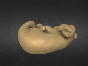 slipping dachshund puppy stl file of sculpture 3D Print Model