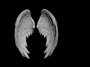 angel wing  3D Model