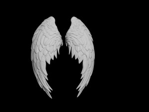 angel wing Model 3D