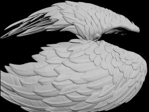 angel wing 3D Model