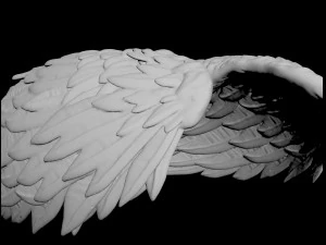 angel wing 3D Model