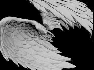 angel wing Model 3D