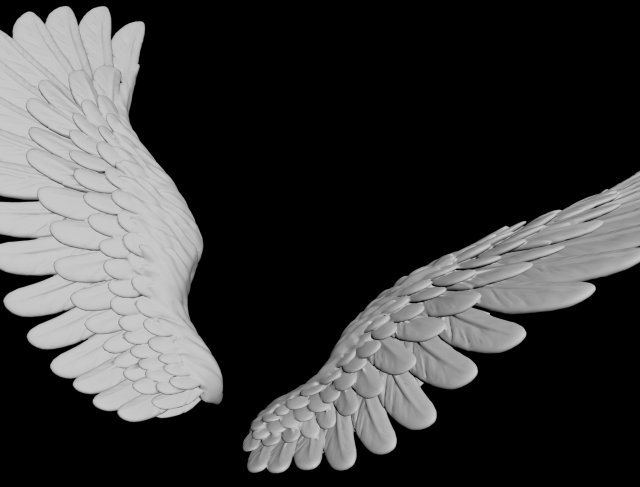angel wing 2 Modello 3D .c4d .max .obj .3ds .fbx .stl .blend 