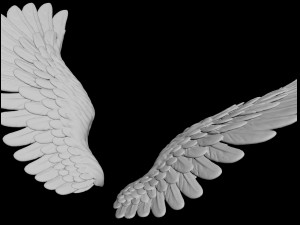 angel wing 2 3D Model
