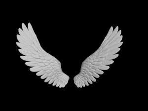 angel wing 2 Modello 3D