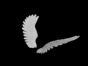 angel wing 2 Modello 3D