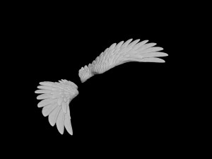 angel wing 2 Modello 3D