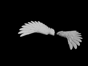 angel wing 2 Modello 3D