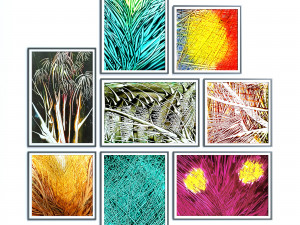 lines frames Modèle 3D