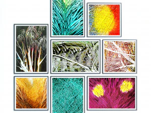 lines frames 3D Model