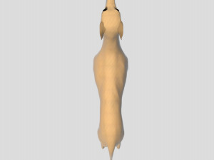 whippet dog Model 3D