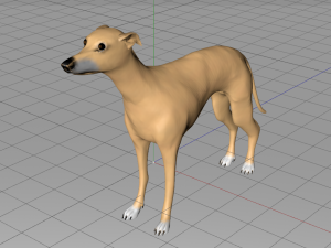 whippet dog Model 3D