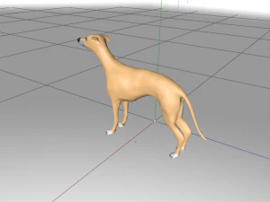 whippet dog 3D Model