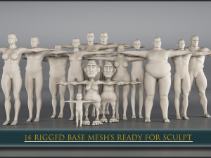 14 rigged base mesh 3D Model