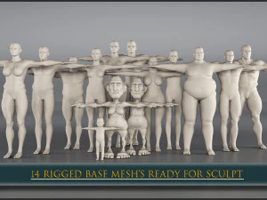 14개의 조작된 베이스 메시 3D 모델