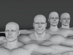14 rigged base mesh 3D Model